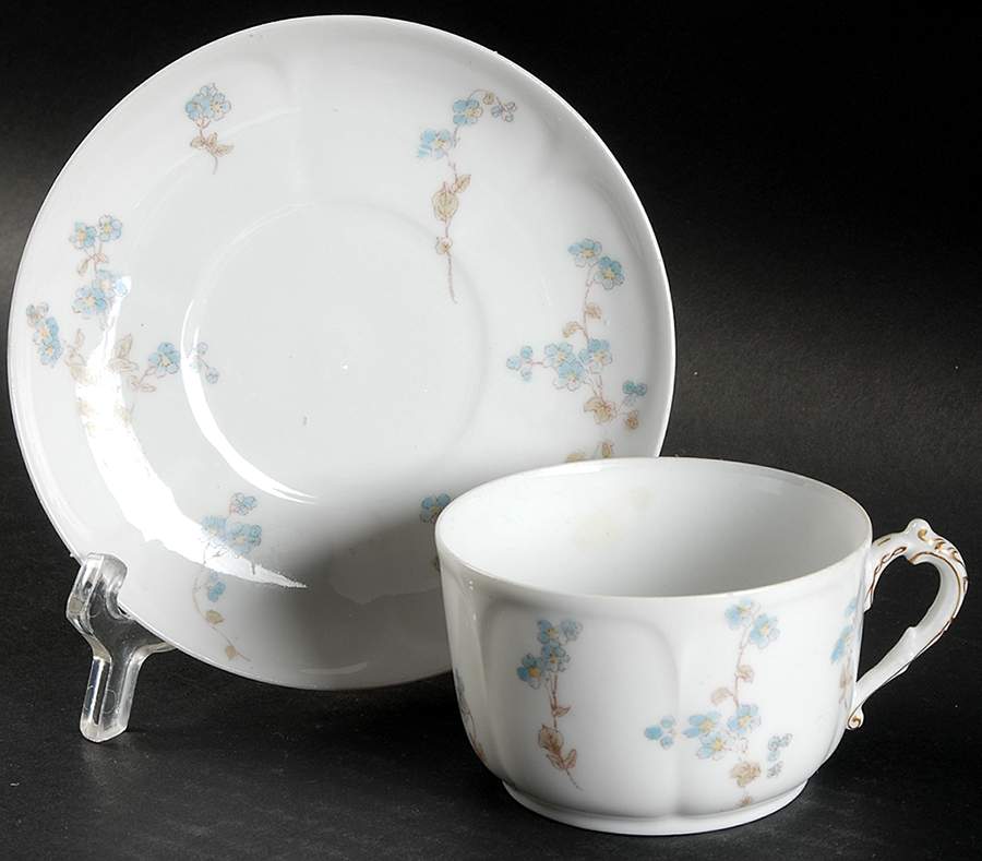 Schleiger 1300-1 Flat Cup & Saucer Set by Charles Field Haviland-1