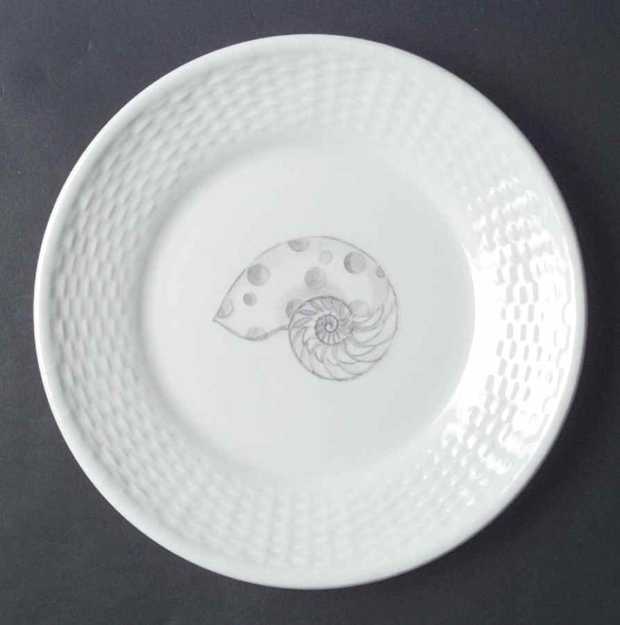 Nantucket Accent Luncheon Plate by Coalport-1