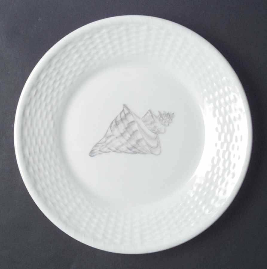 Nantucket Accent Luncheon Plate by Coalport-1