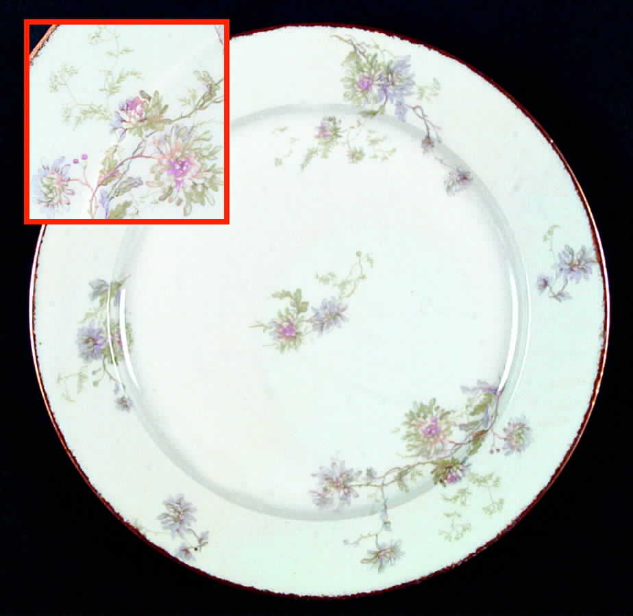 CHF616 Dinner Plate by Charles Field Haviland-1