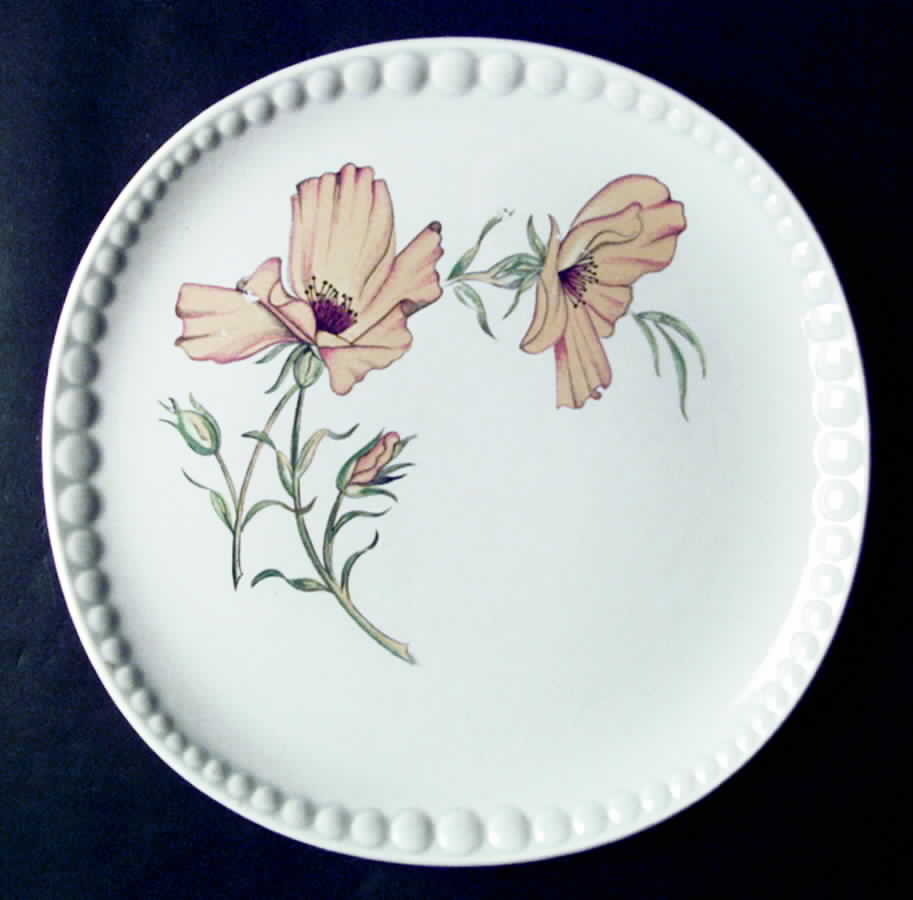 CRO176 Dinner Plate by Crooksville-1