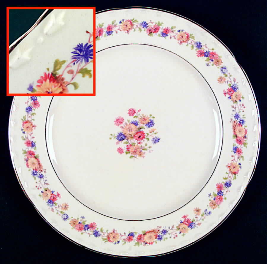 DX12 Dinner Plate by Crooksville-1