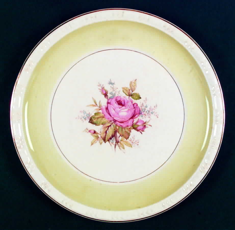 Moonglo Dinner Plate by Canonsburg-1