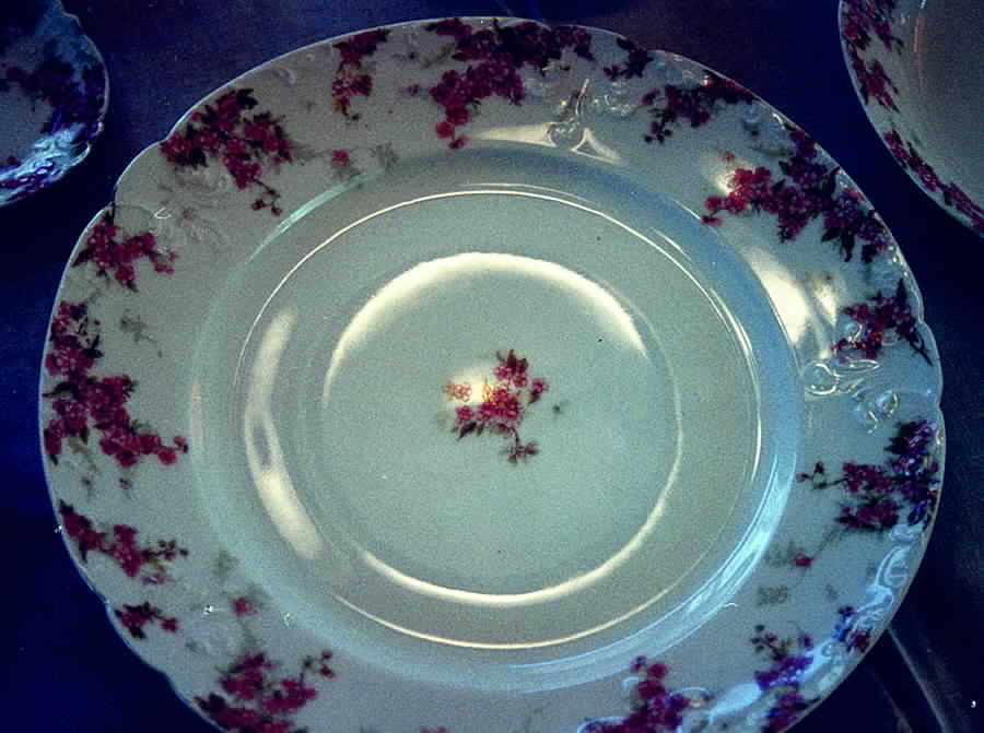 Schleiger 1289a Dinner Plate by Charles Field Haviland-1
