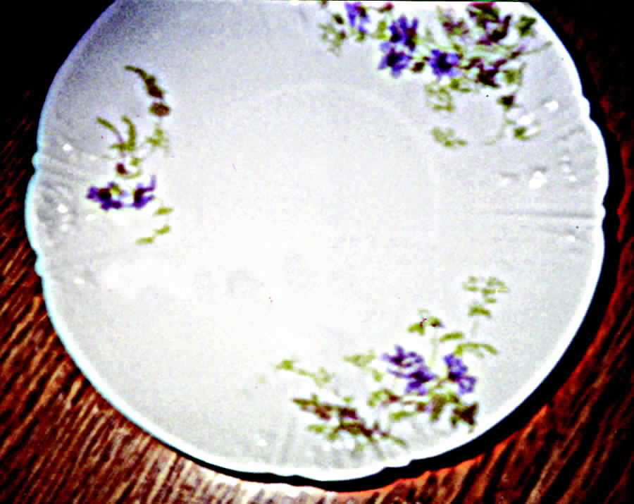 Schleiger 1295 Saucer by Charles Field Haviland-1