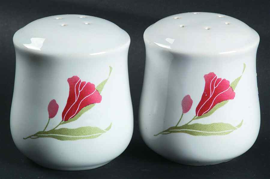 Pacific Bloom (Corelle) Salt & Pepper Set by Corning Corelle-1