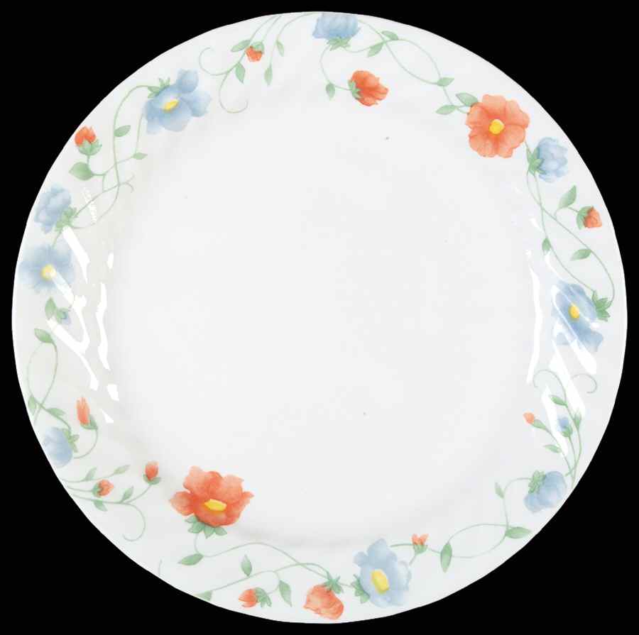 Delicate Touch (Corelle) Salad Plate by Corning Corelle-1