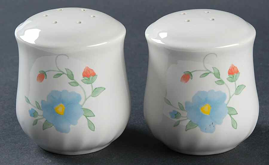 Delicate Touch (Corelle) Salt & Pepper Set by Corning Corelle-1