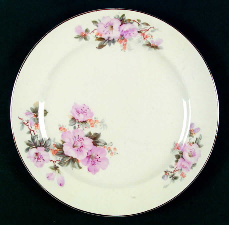 CRO179 Dinner Plate by Crooksville-1
