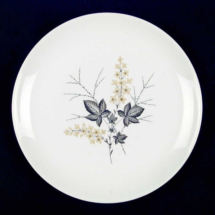 CAN121 Dinner Plate by Canonsburg-1