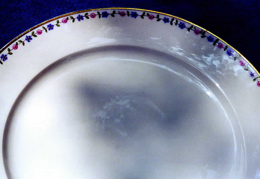CHF634 Dinner Plate by Charles Field Haviland-1