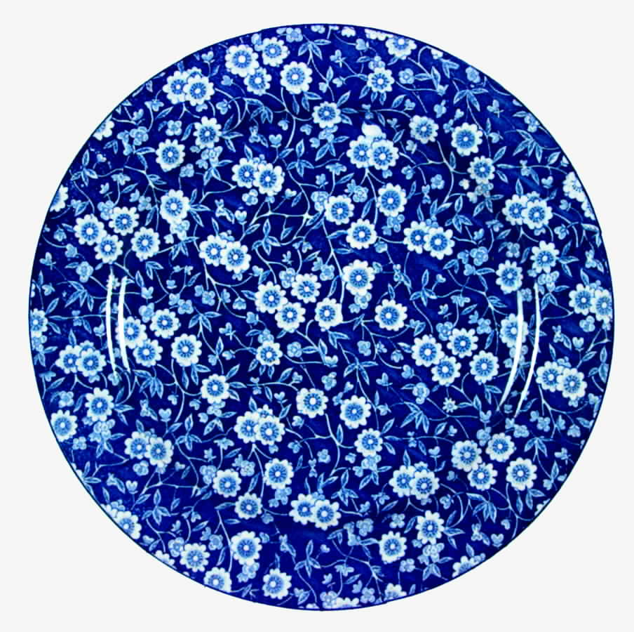 CPU3 Dinner Plate by Cost Plus-1