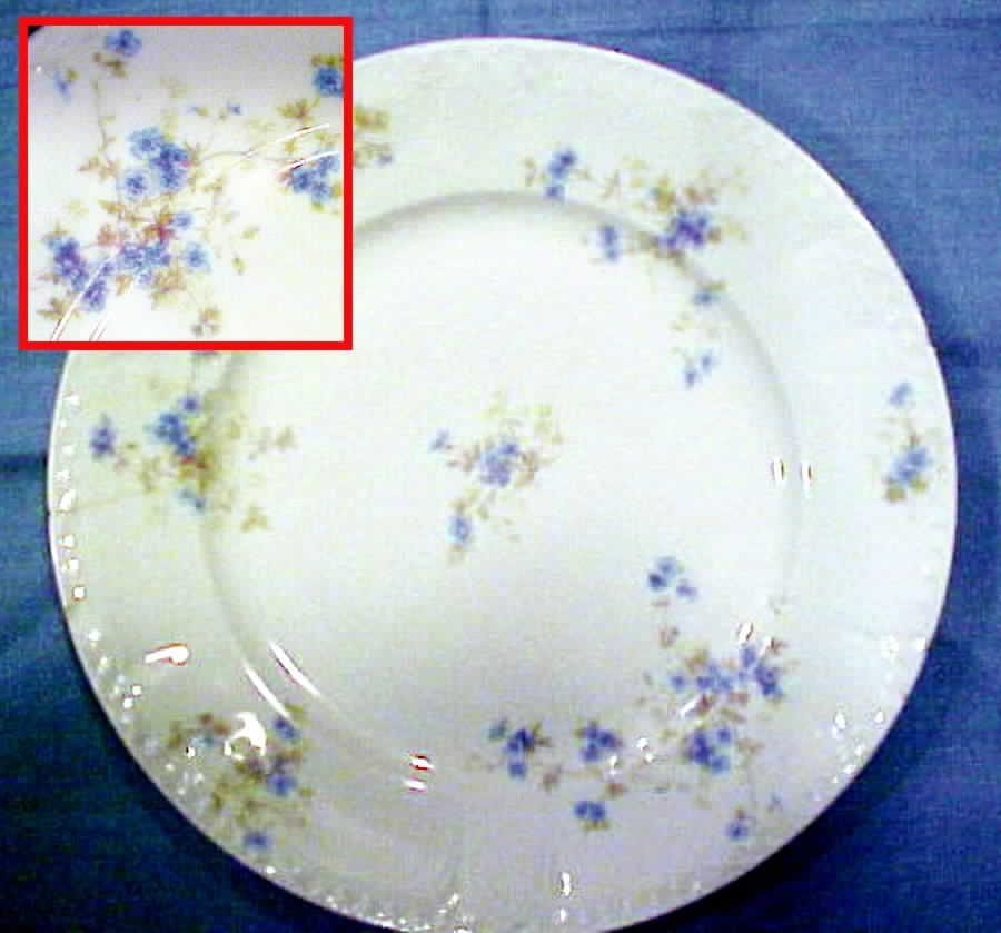 CHF644 Dinner Plate by Charles Field Haviland-1