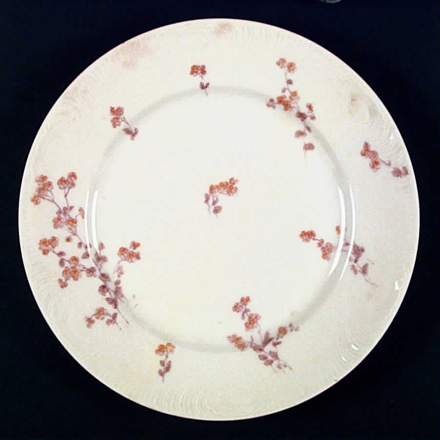 CHF645 Dinner Plate by Charles Field Haviland-1