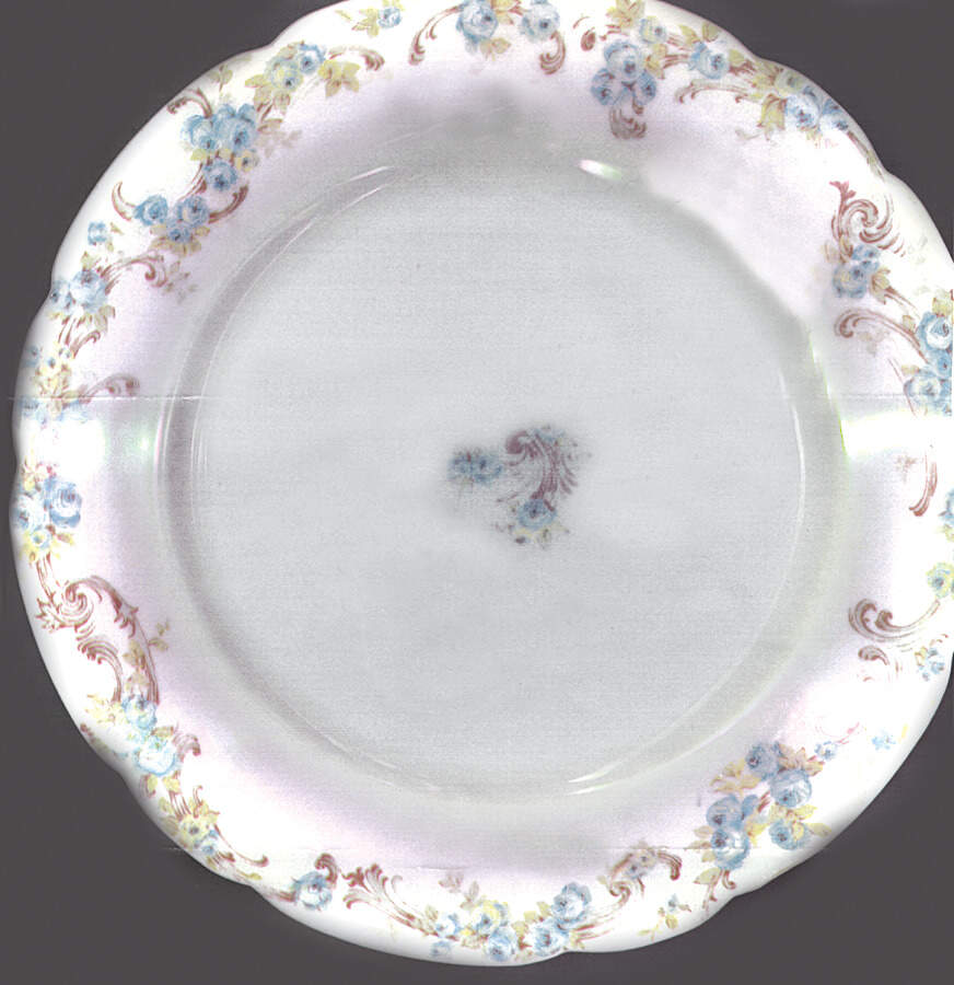 CHF646 Dinner Plate by Charles Field Haviland-1