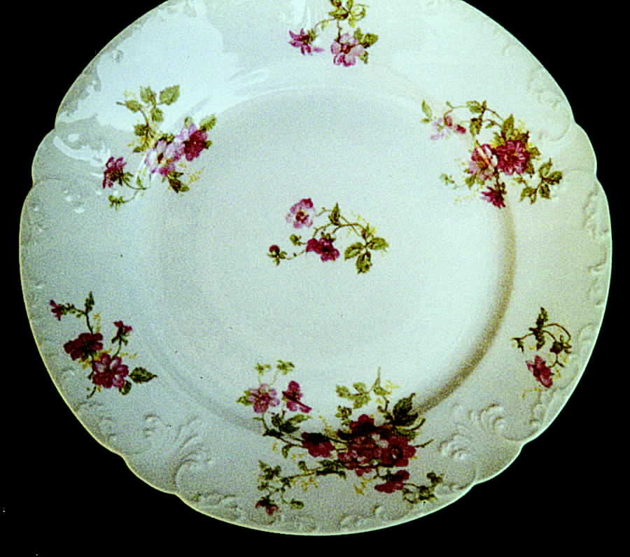 CHF650 Dinner Plate by Charles Field Haviland-1
