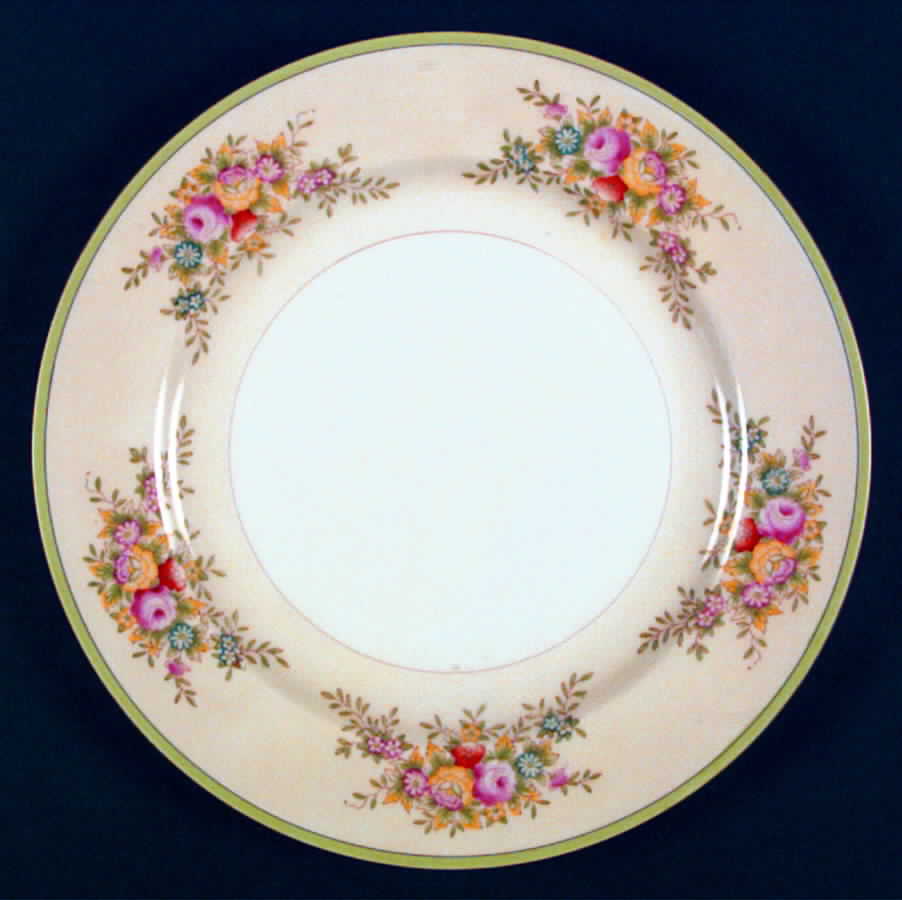 CEB66 Dinner Plate by Celebrate-1