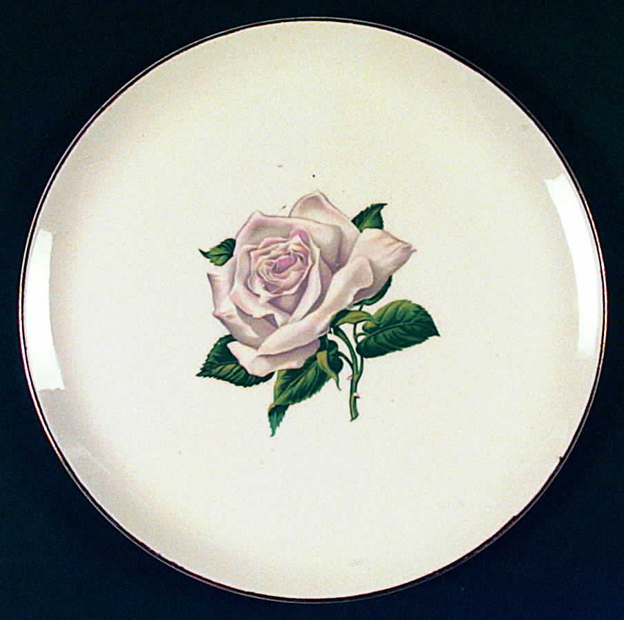 CRO188 Dinner Plate by Crooksville-1