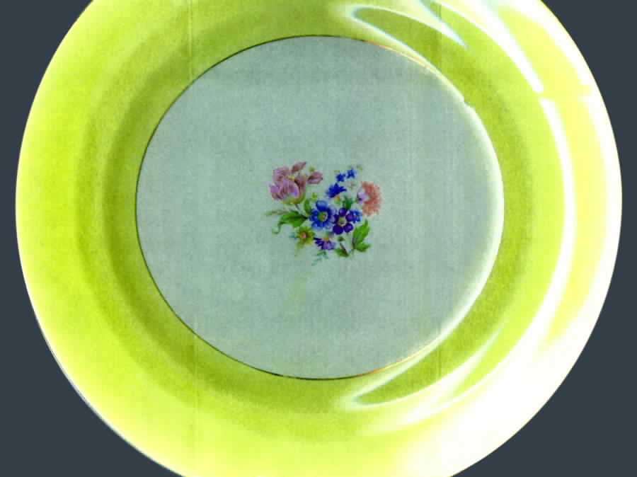 CRP91 Dinner Plate by Crown Potteries-1