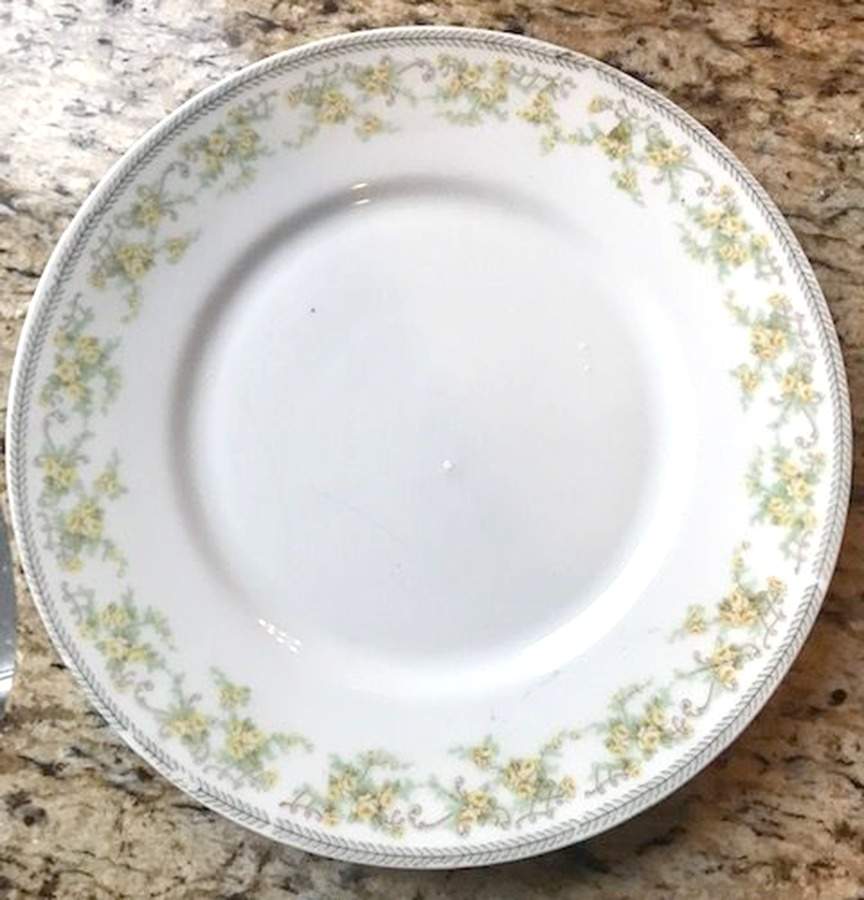 4971 Dinner Plate by Carlsbad-1