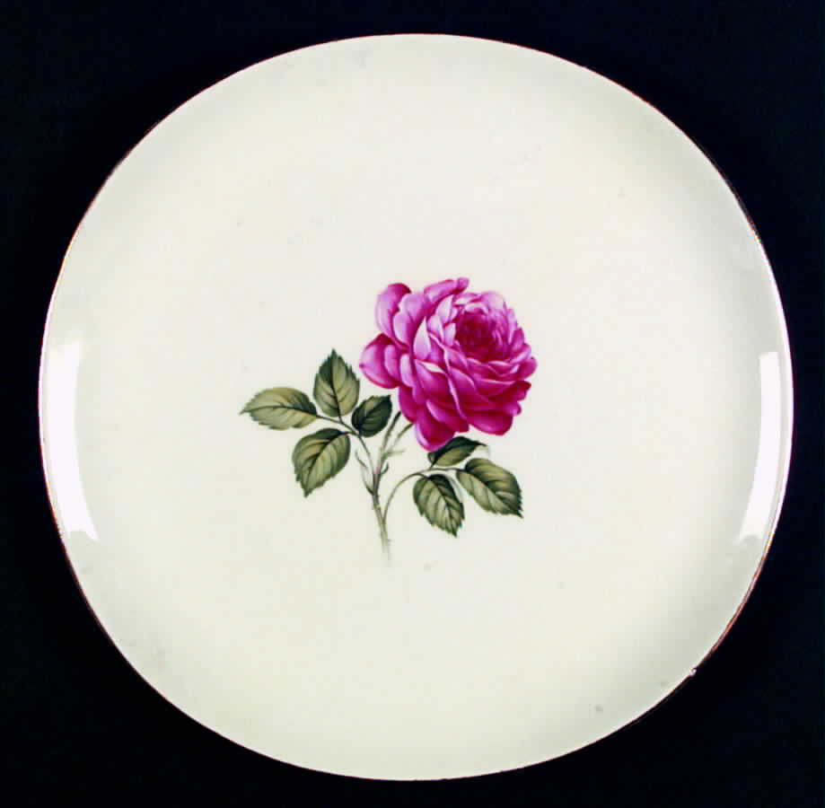 CRO190 Dinner Plate by Crooksville-1