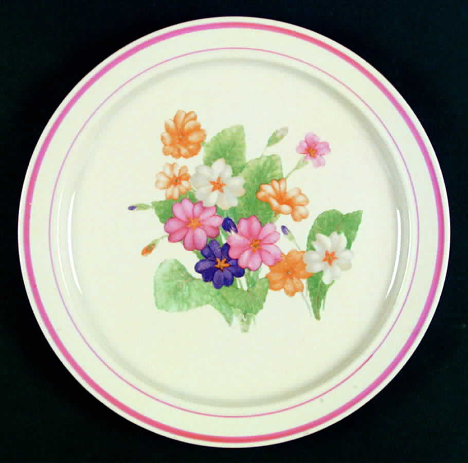 CX107 Dinner Plate by China (Made in China)-1