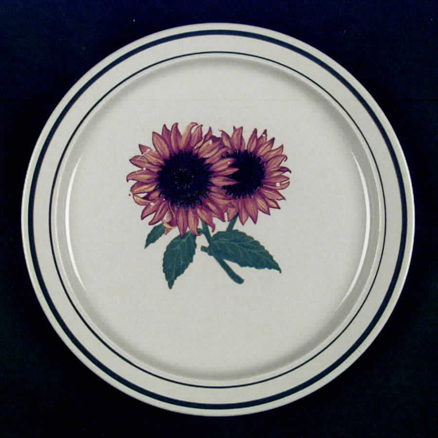 CX109 Dinner Plate by China (Made in China)-1