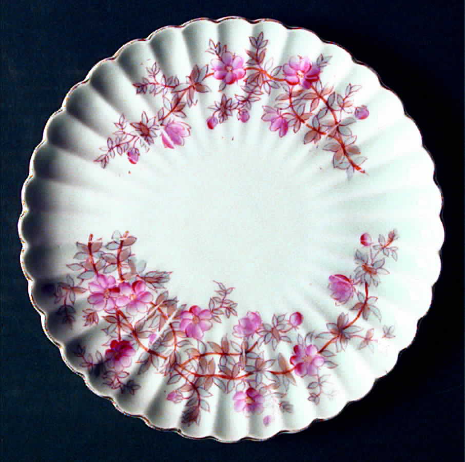1813 (Scalloped) Salad Plate by Carlsbad-1