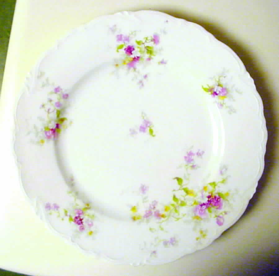 CHF672 Dinner Plate by Charles Field Haviland-1