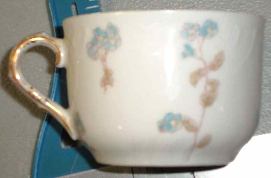 Schleiger 1300-2 Flat Cup by Charles Field Haviland-1