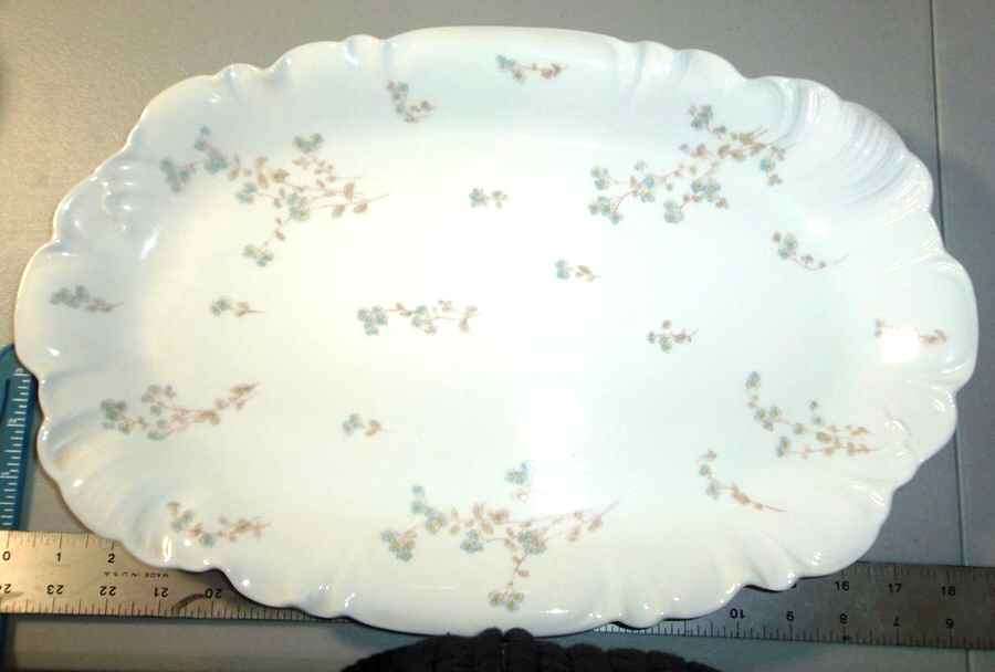 Schleiger 1300-2 18" Oval Serving Platter by Charles Field Haviland-1