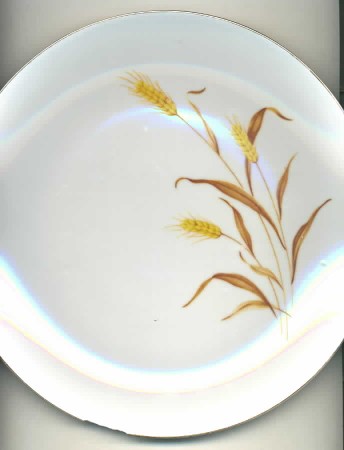 CA1 Dinner Plate by Camelot-1