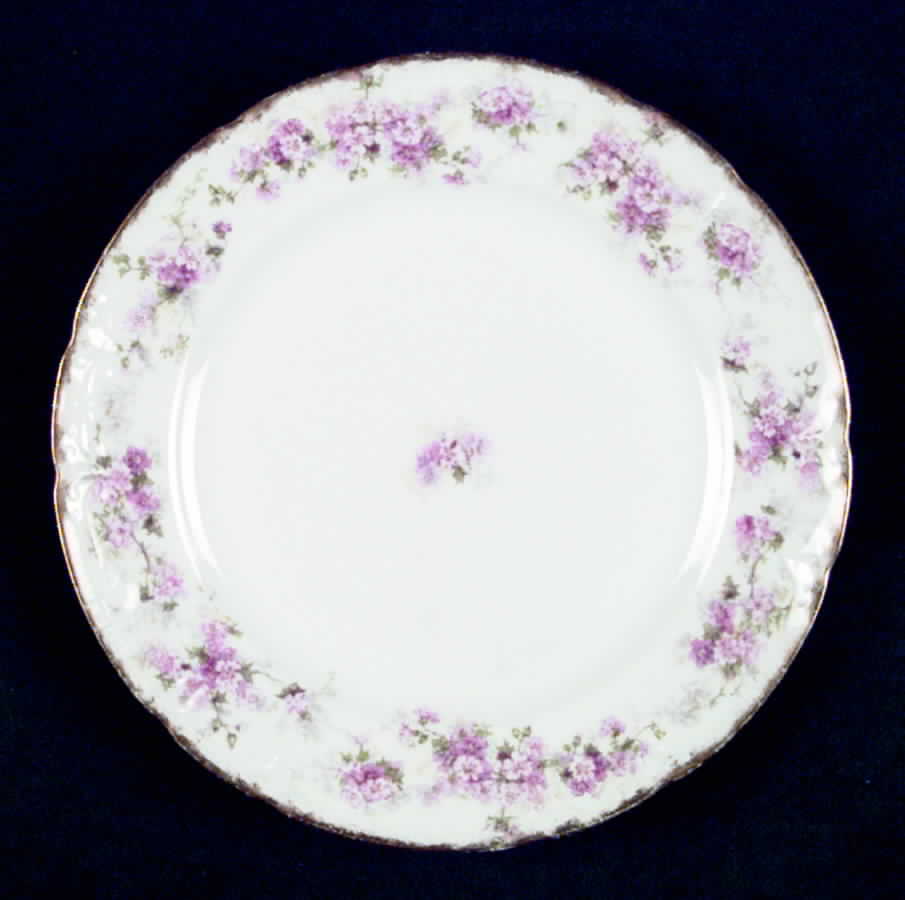 CHF676 Salad Plate by Charles Field Haviland-1