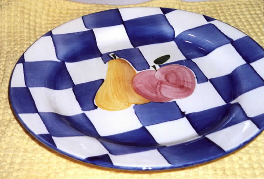 Appleton Dinner Plate by Cooks Club-1