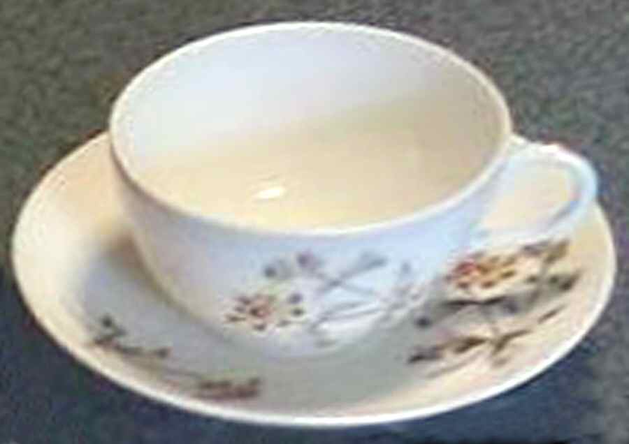 Schleiger 1311-4 Flat Cup & Saucer Set by Charles Field Haviland-1