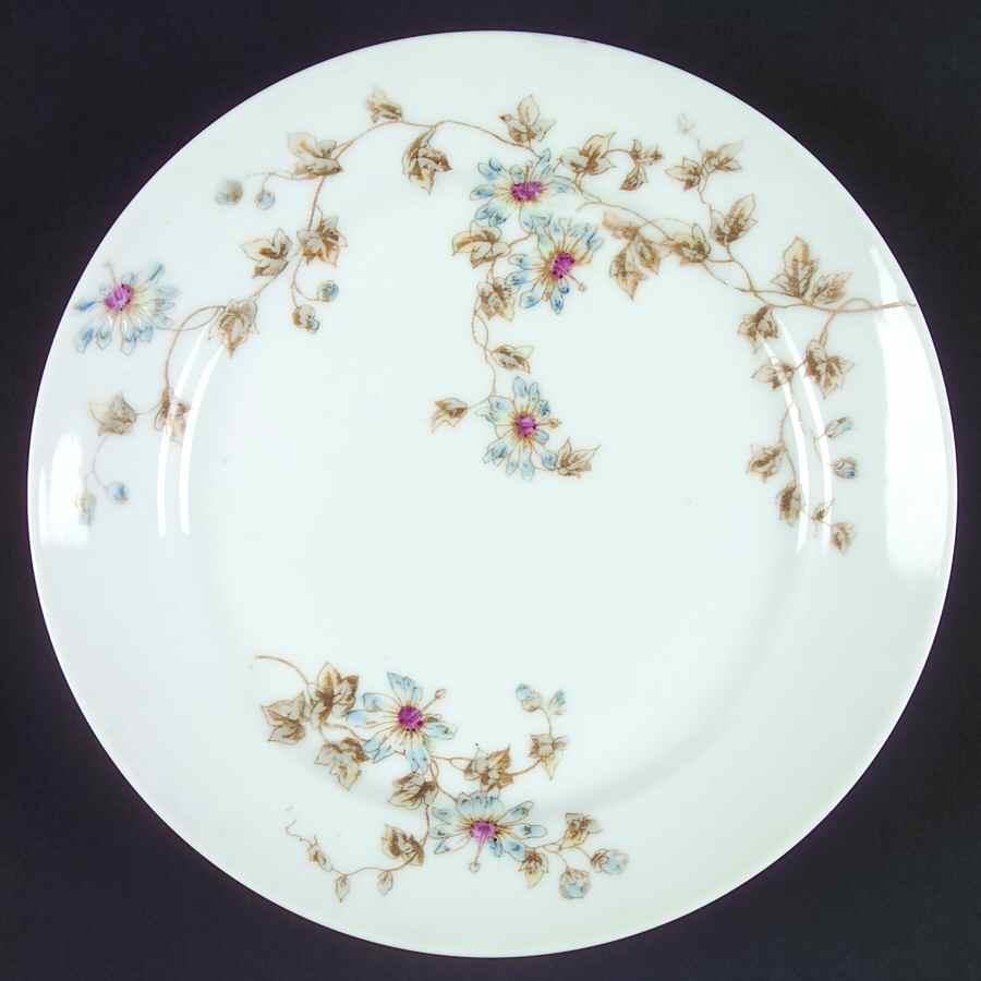 Schleiger 373-2 Salad Plate by Charles Field Haviland-1
