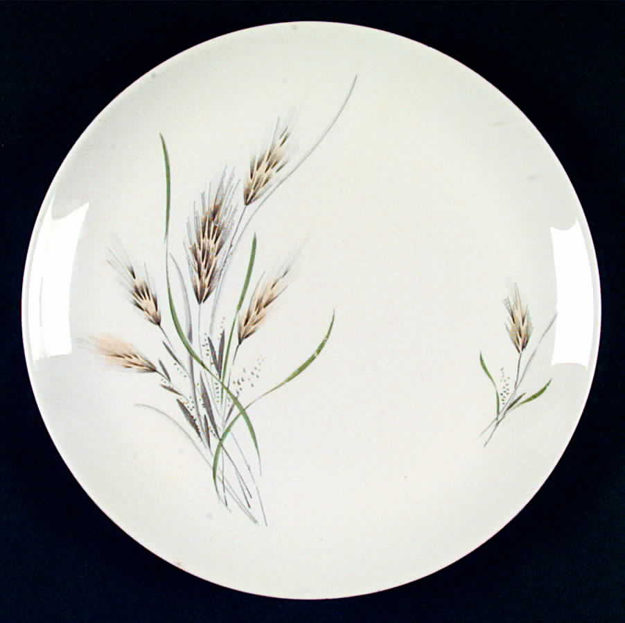 CAN124 Dinner Plate by Canonsburg-1