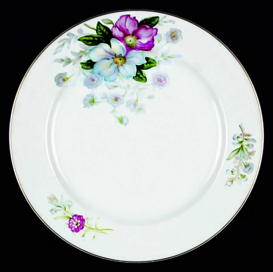 CEB72 Dinner Plate by Celebrate-1