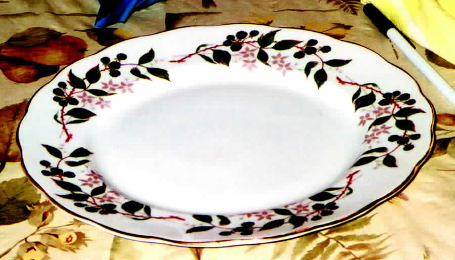 Hedgerow Salad Plate by Colclough-1