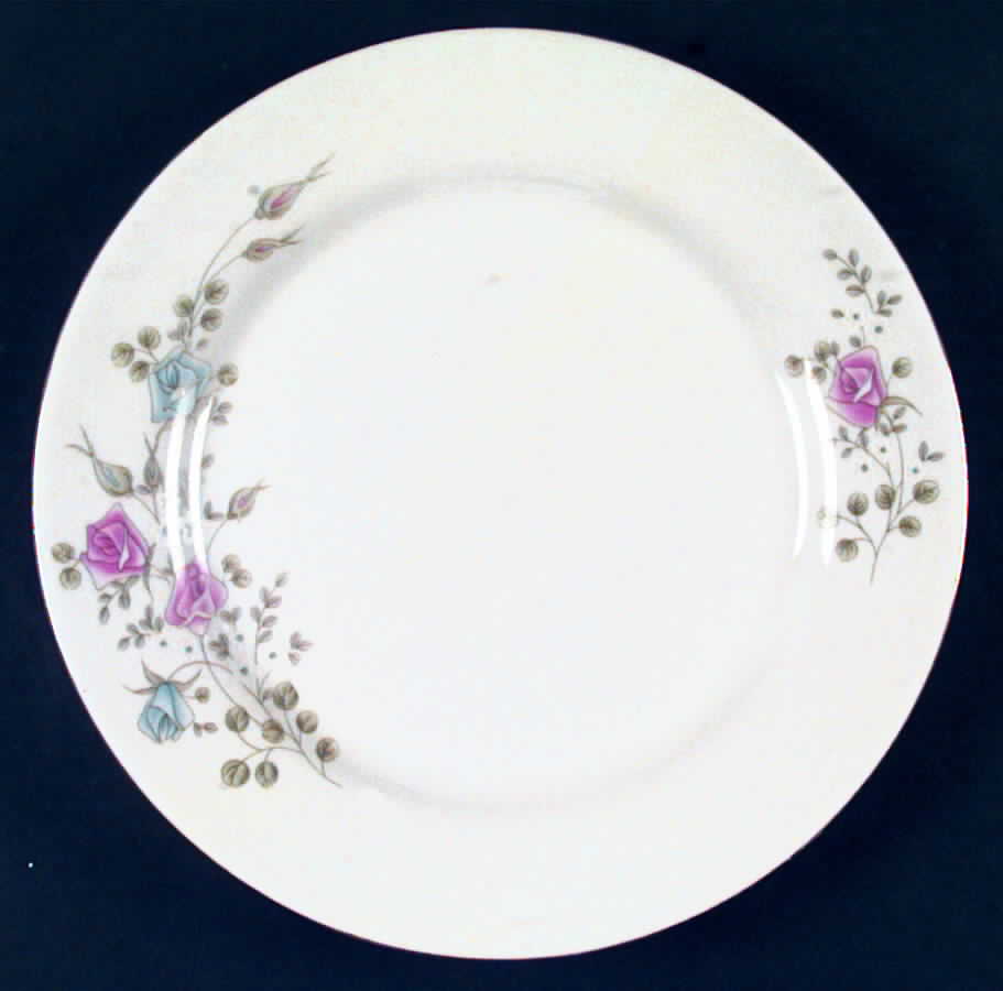 CX120 Dinner Plate by China (Made in China)-1