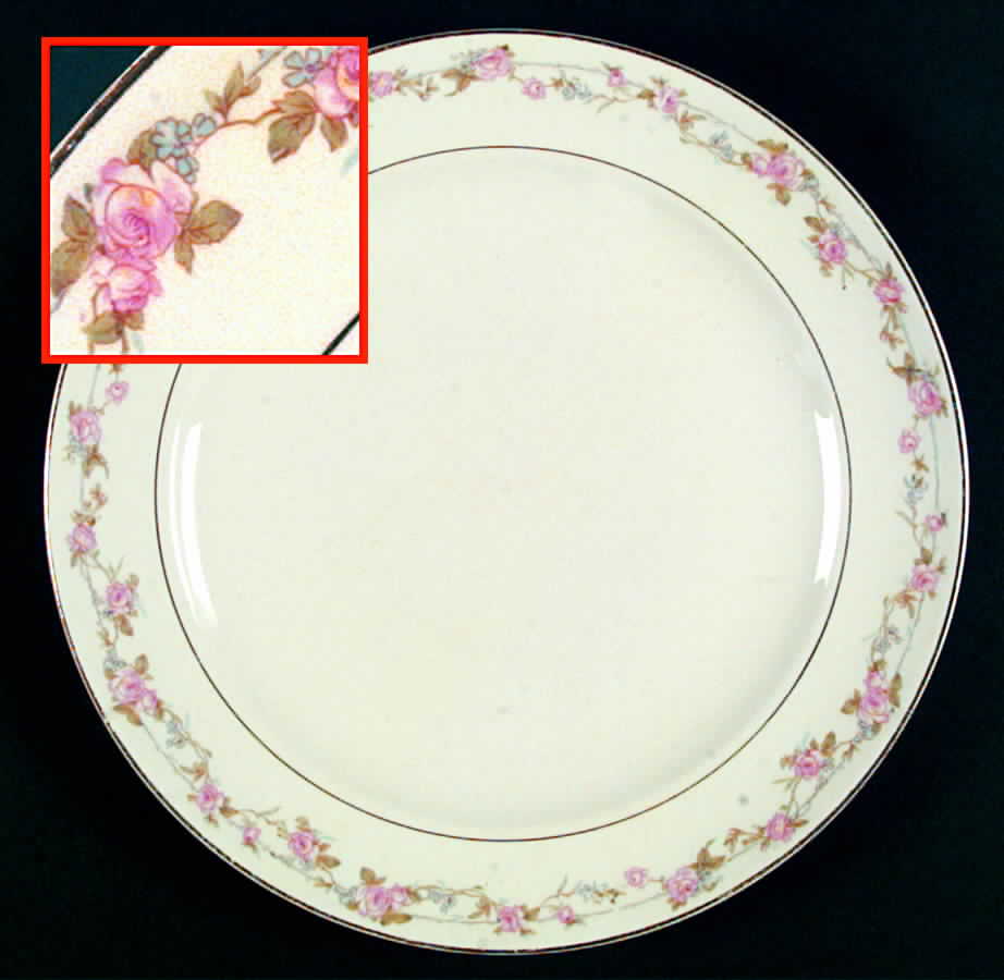 CRO196 Dinner Plate by Crooksville-1
