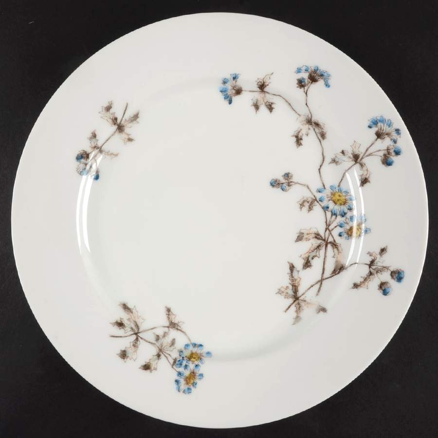 Schleiger 1311-1 Dinner Plate by Charles Field Haviland-1