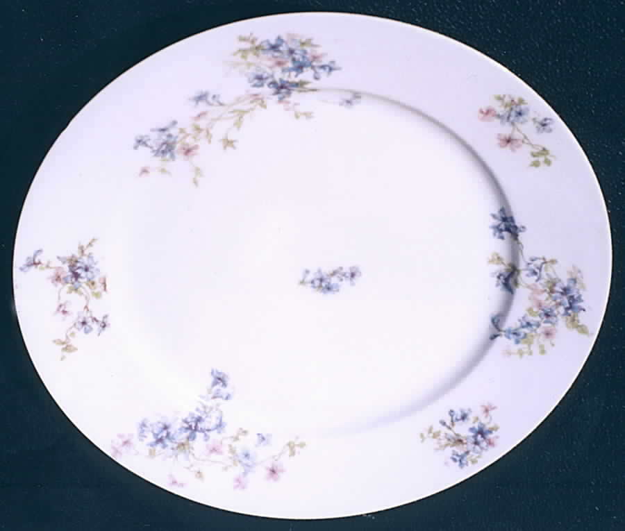 CHF714 Dinner Plate by Charles Field Haviland-1