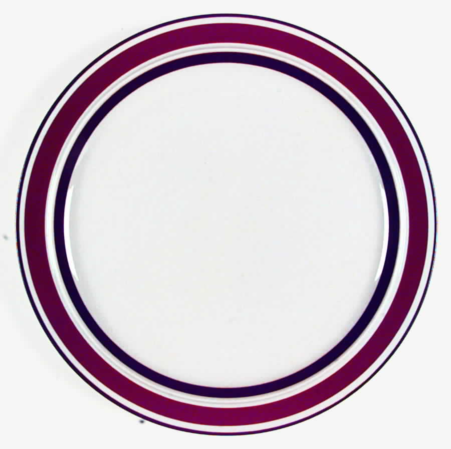 Akey Sienna Dinner Plate by The Cellar (China)-1