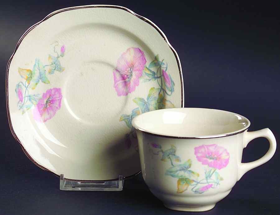 CRO197 Flat Cup & Saucer Set by Crooksville-1