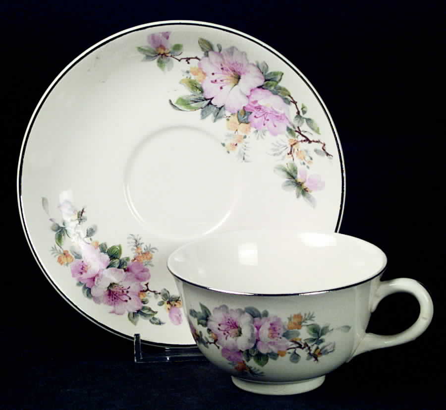 M264 Flat Cup & Saucer Set by Crooksville-1
