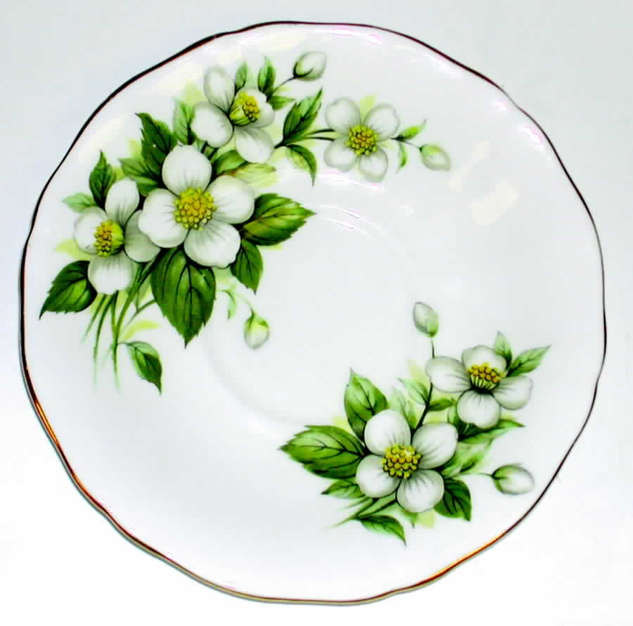 Orange Blossom Saucer by Colclough-1