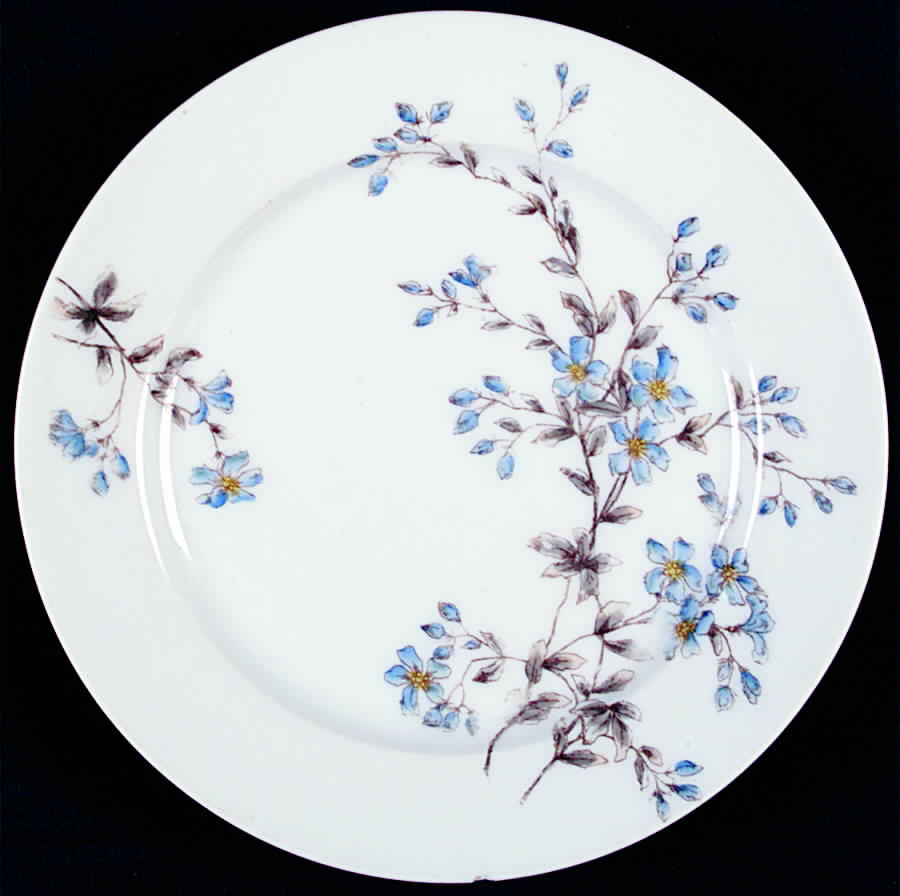 CHF734 Salad Plate by Charles Field Haviland-1