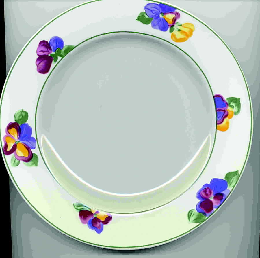 CPU4 Luncheon Plate by Cost Plus-1