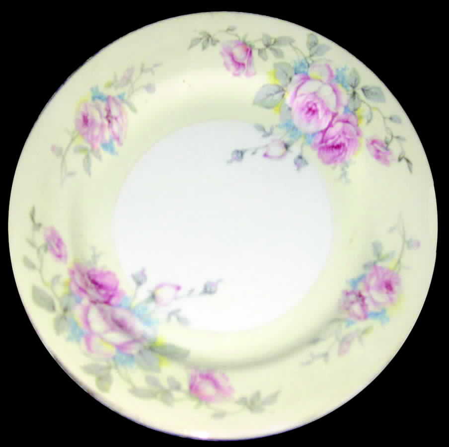 CEB74 Dinner Plate by Celebrate-1